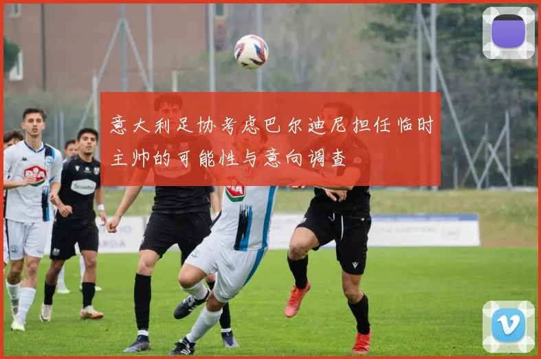 意大利足协考虑巴尔迪尼担任临时主帅的可能性与意向调查
