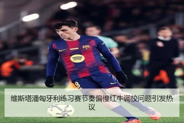 维斯塔潘匈牙利练习赛节奏偏慢红牛调校问题引发热议